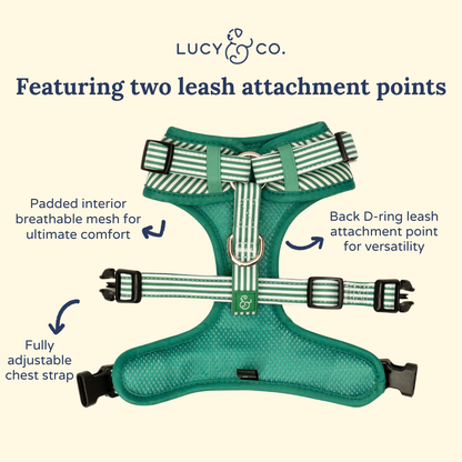 Tomato, Tomahto Embroidered No-Pull Harness