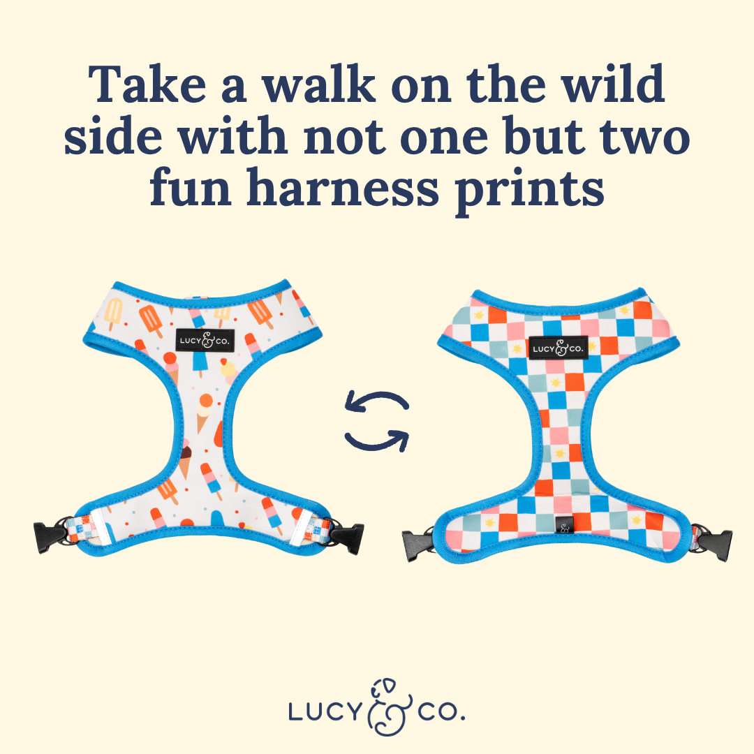 Sundae Kinda Love Reversible Harness