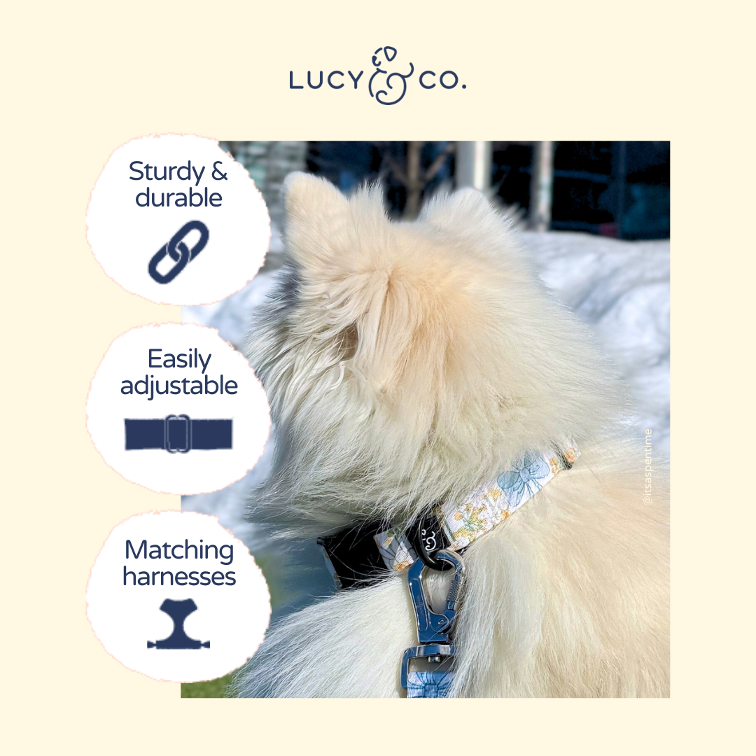 Sunshine and Daffodils Collar