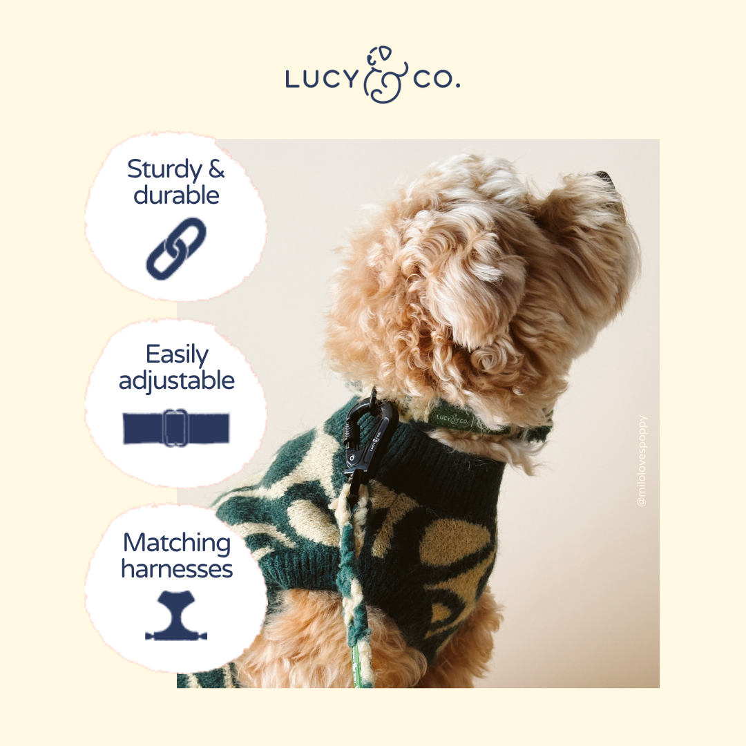Lucy & Co. x Parks Project Geyser Fleece Collar