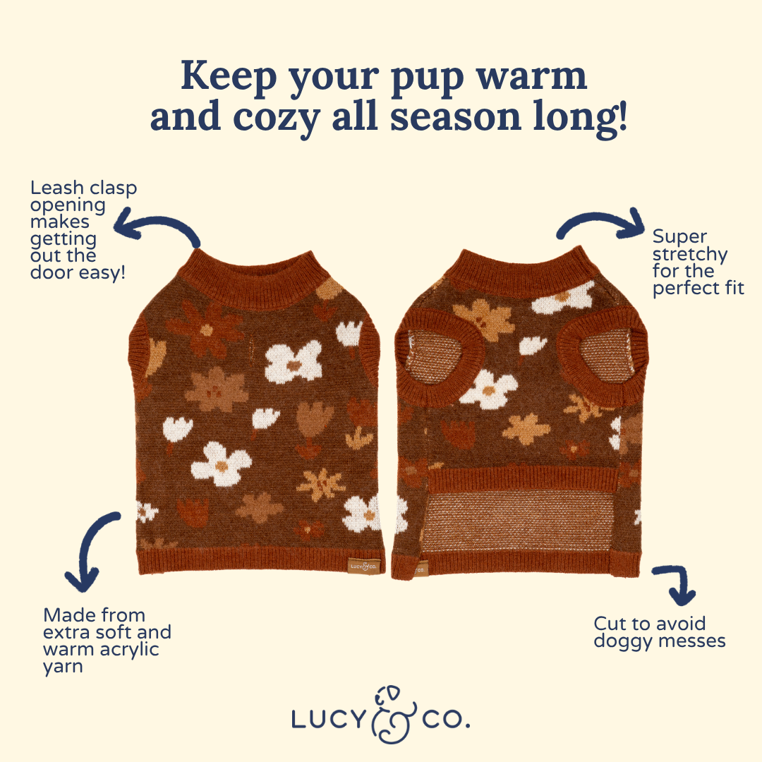 Chocolate Meadows Sweater