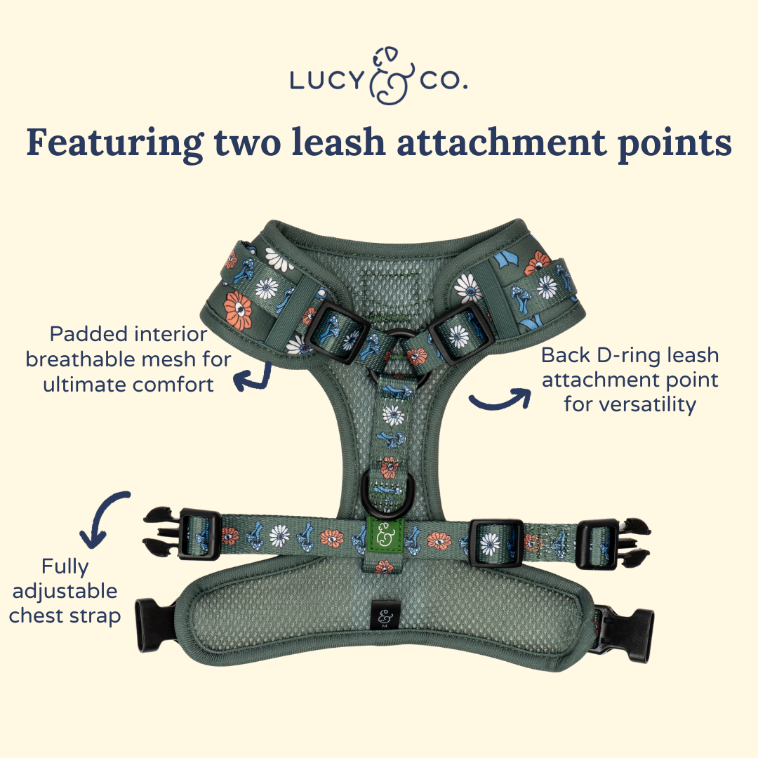 Power to the Parks No-Pull Harness