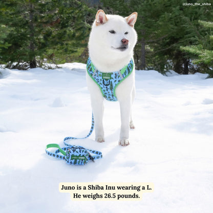 Lucy & Co. x Parks Project Feel the Earth Breathe Leash