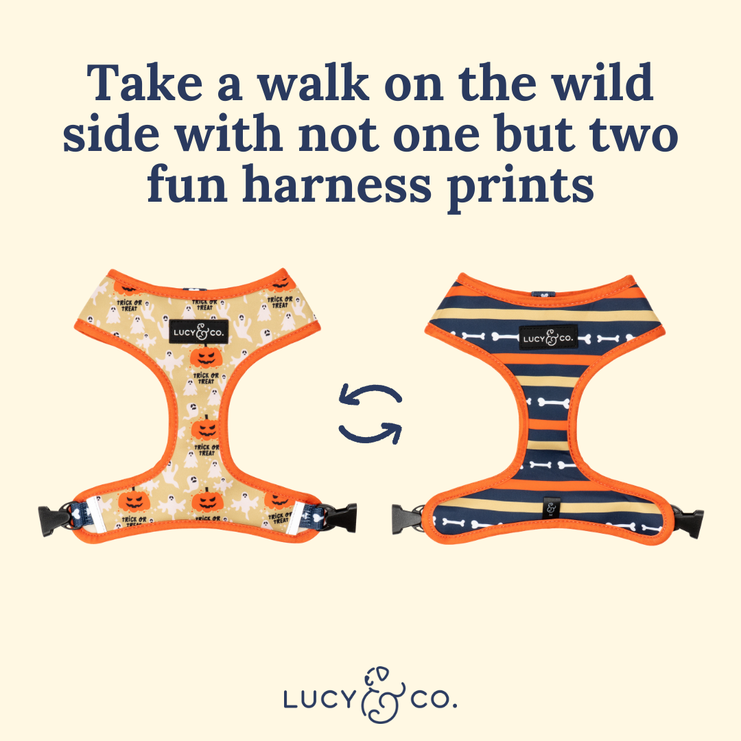 Trick or Treat Reversible Harness