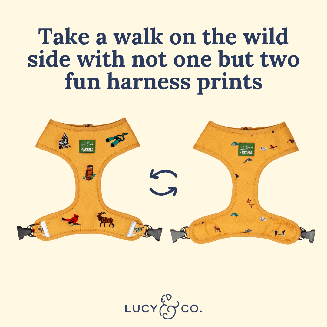 Lucy & Co. x Parks Project Naturalist Club Canvas Reversible Harness