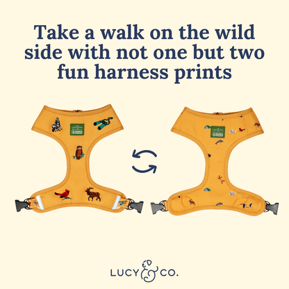 Lucy & Co. x Parks Project Naturalist Club Canvas Reversible Harness