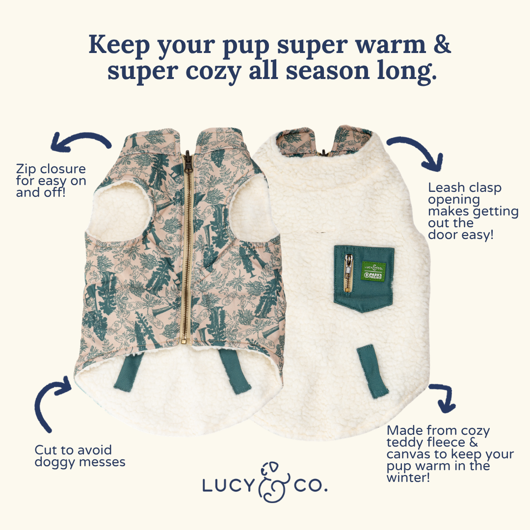 Lucy & Co. x Parks Project Sequoia Seedlings Canvas Vest