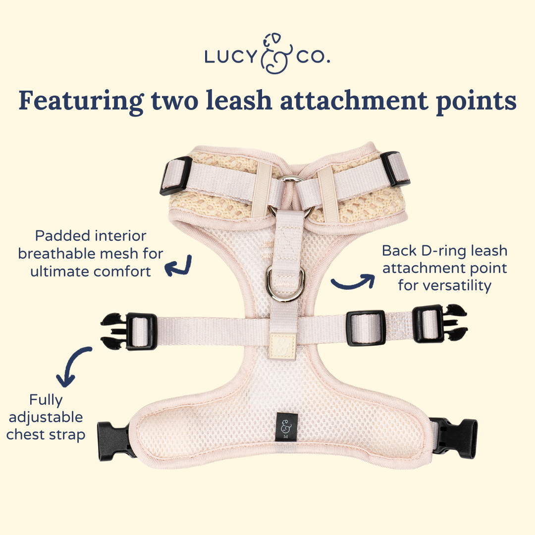 Main Squeeze Crochet No-Pull Harness