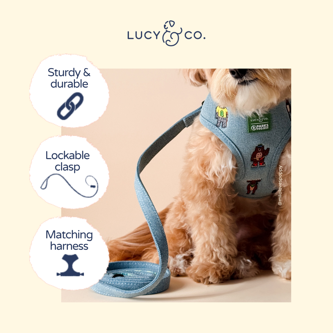 Lucy & Co. x Parks Project Adventures with Friends Leash