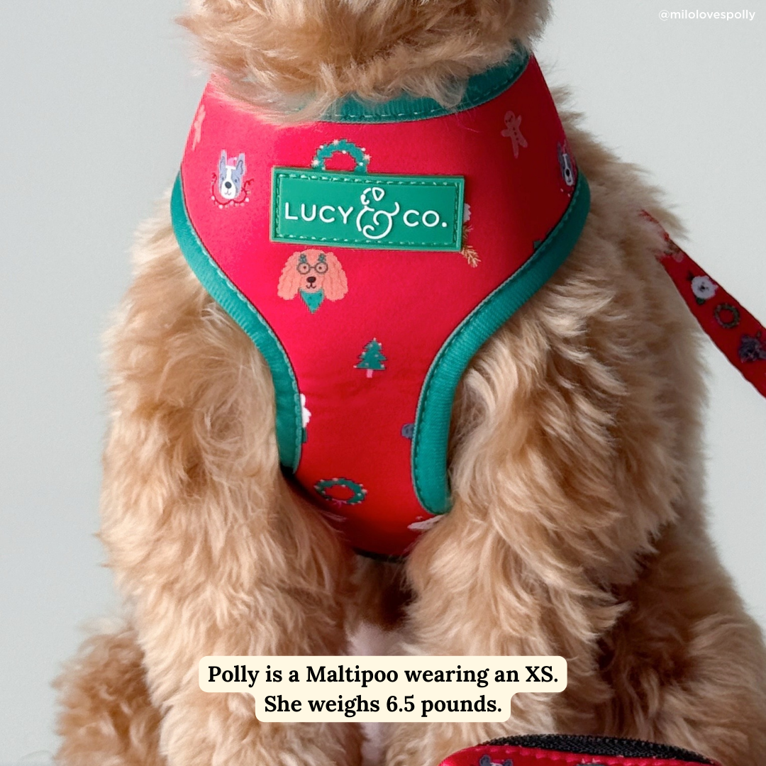 Happy Howlidays Reversible Harness
