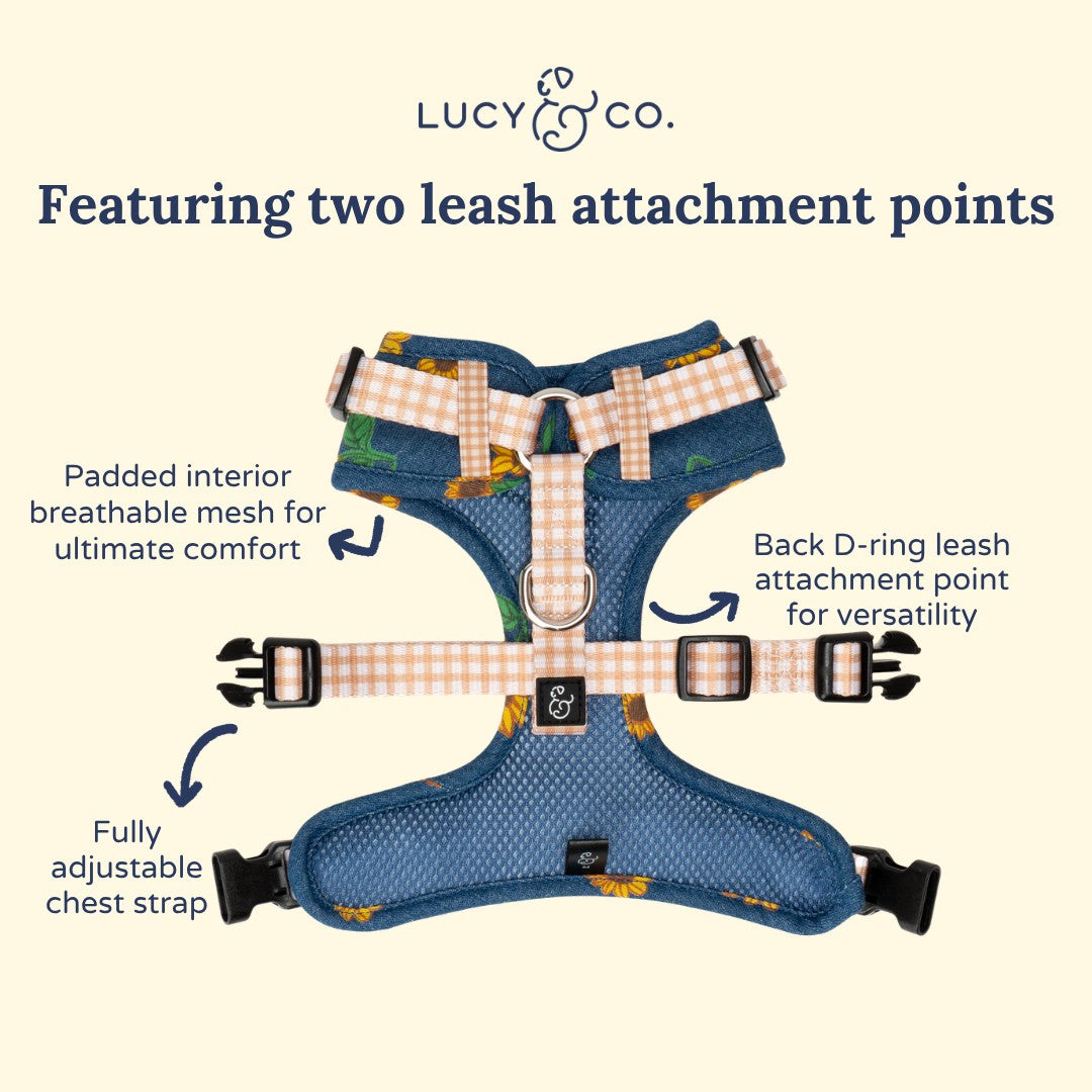 Sunflower Power Denim No-Pull Harness
