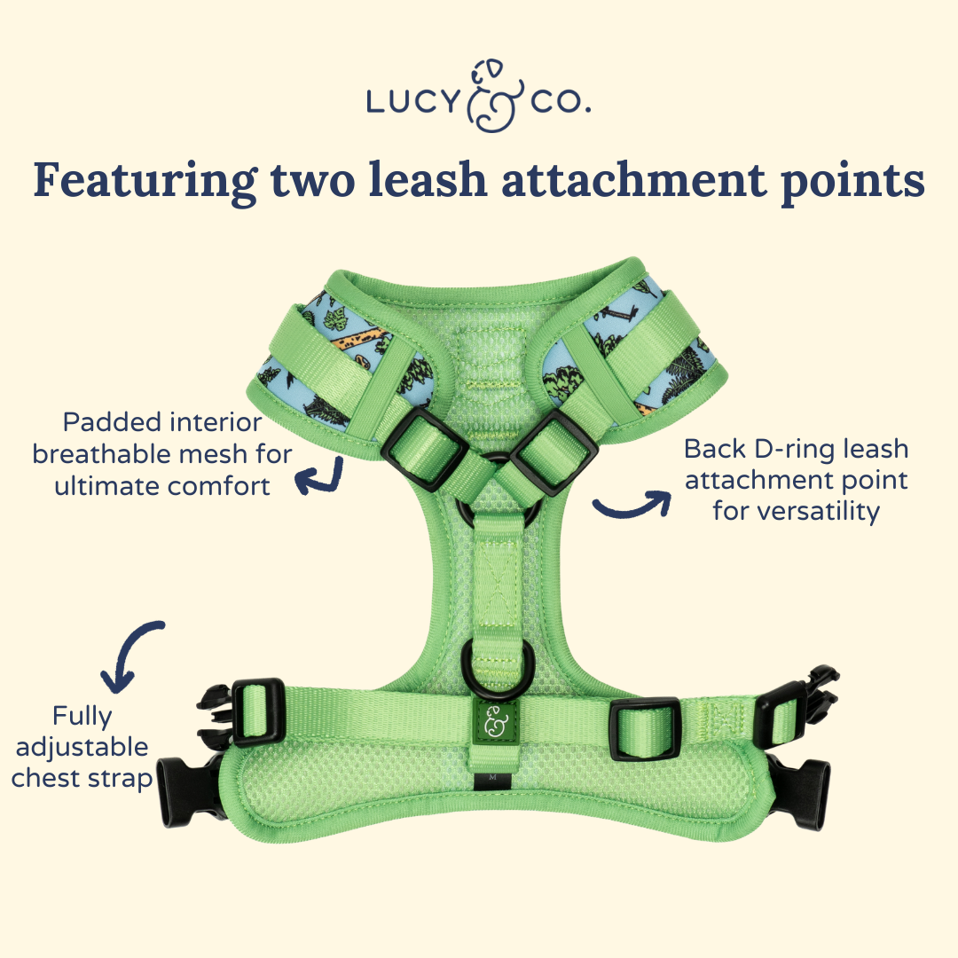 Feel the Earth Breathe No-Pull Harness