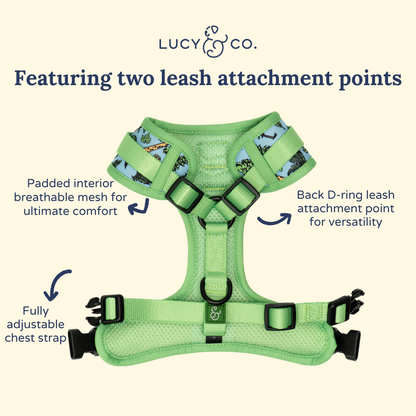 Feel the Earth Breathe No-Pull Harness