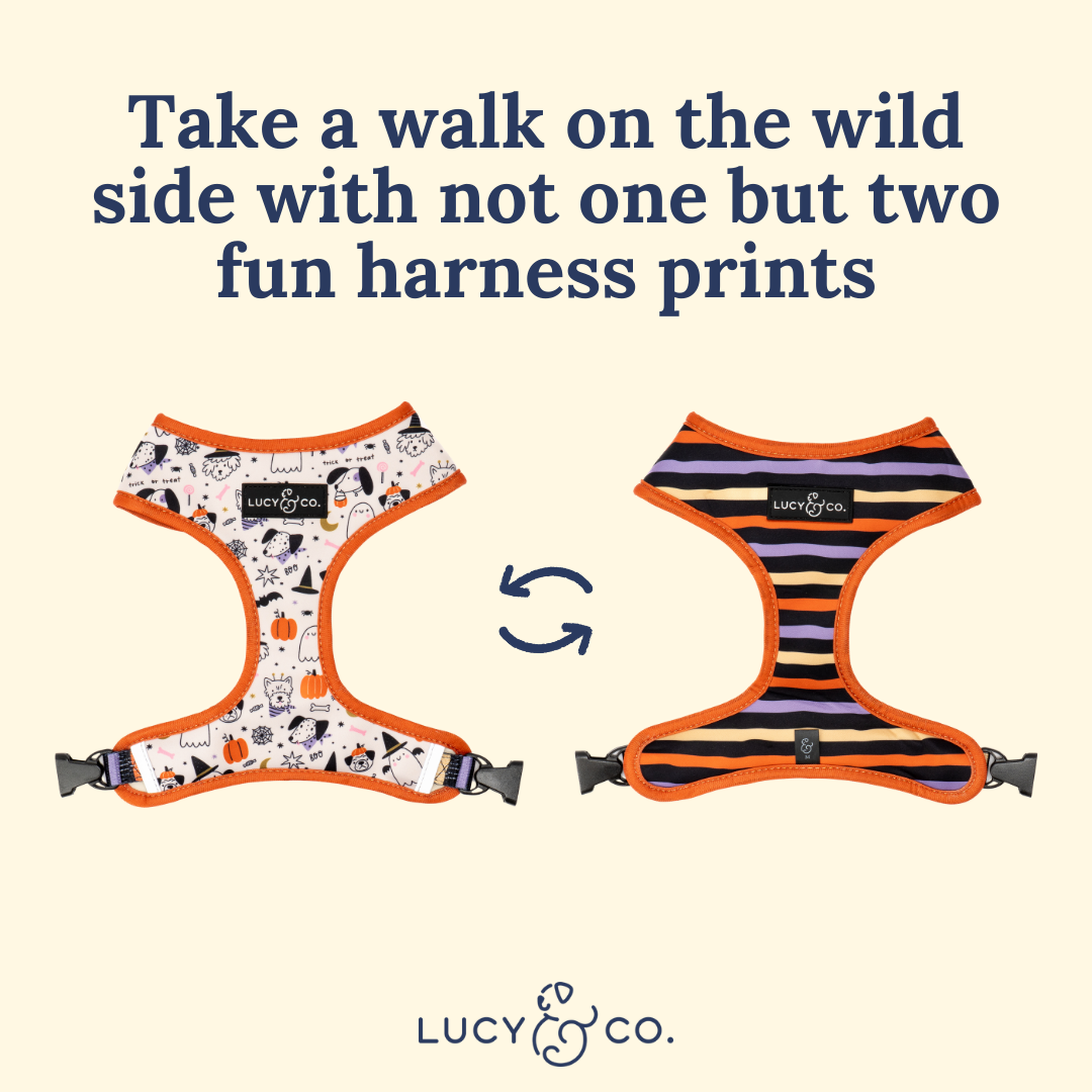 Howloween Reversible Harness