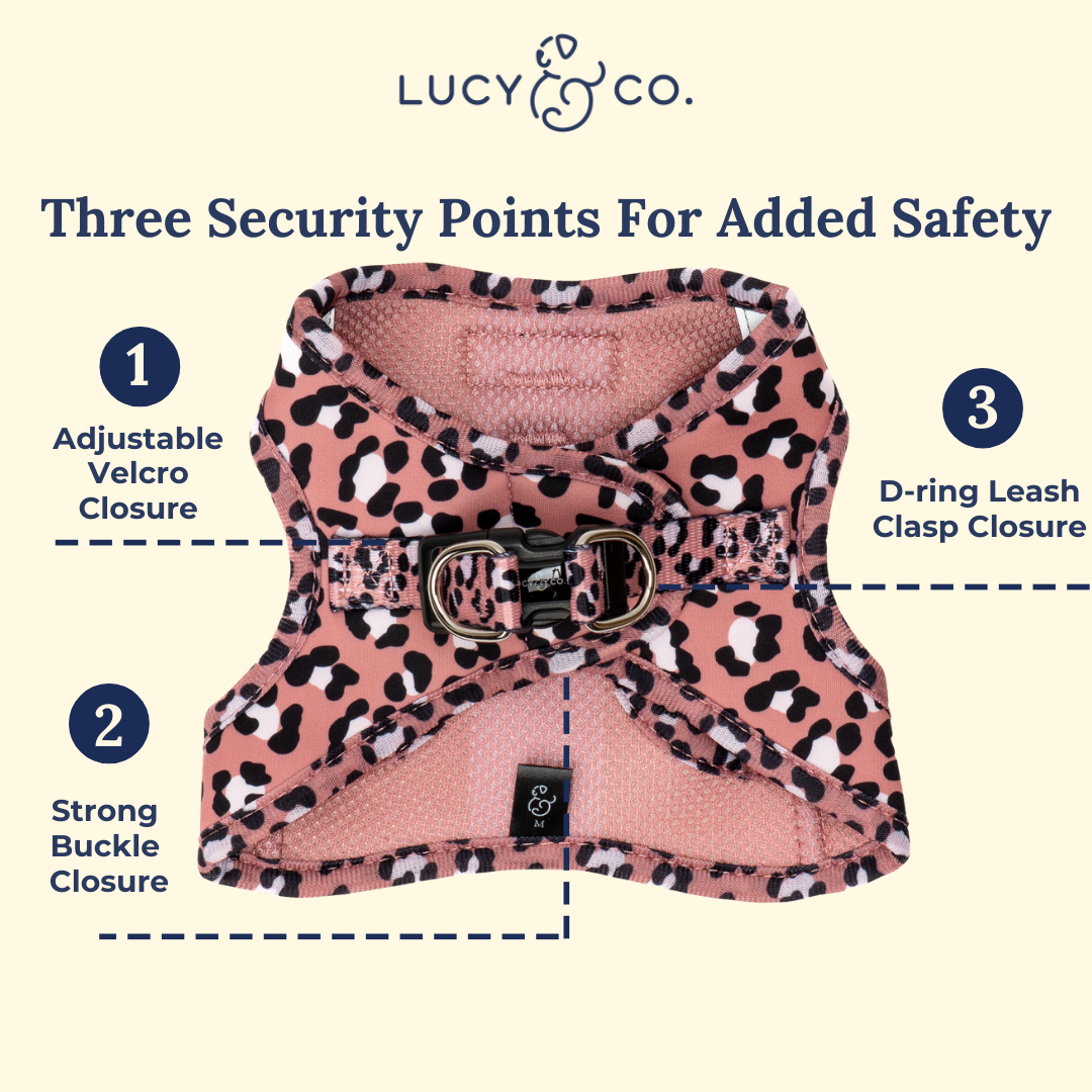 Wild Side Step-in Cat Harness