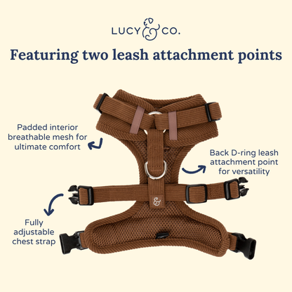 Chocolate Meadows Corduroy No-Pull Harness