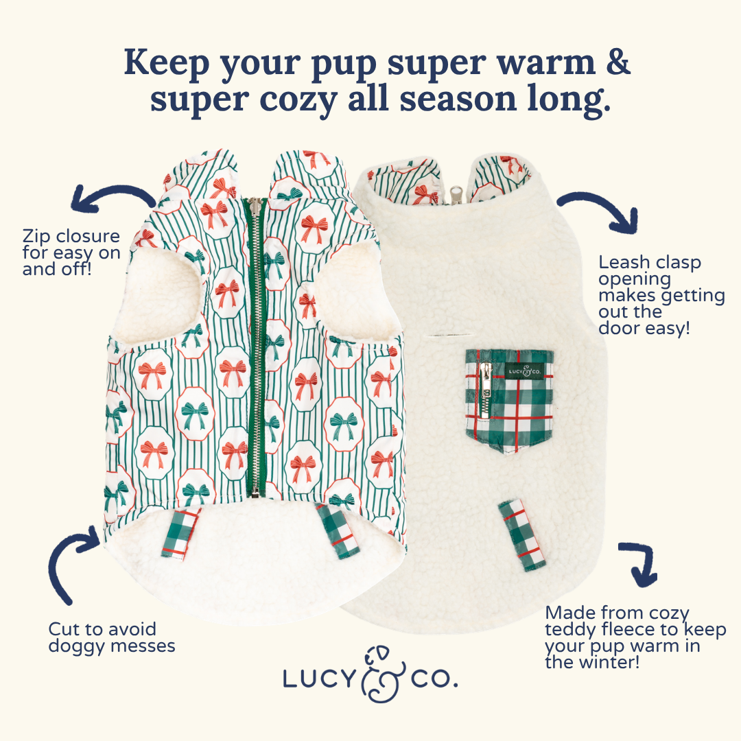 Wrap it Up Reversible Teddy Vest