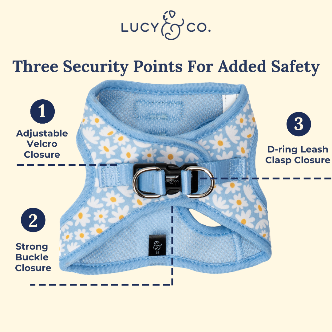 Simply Splendid Step-in Cat Harness