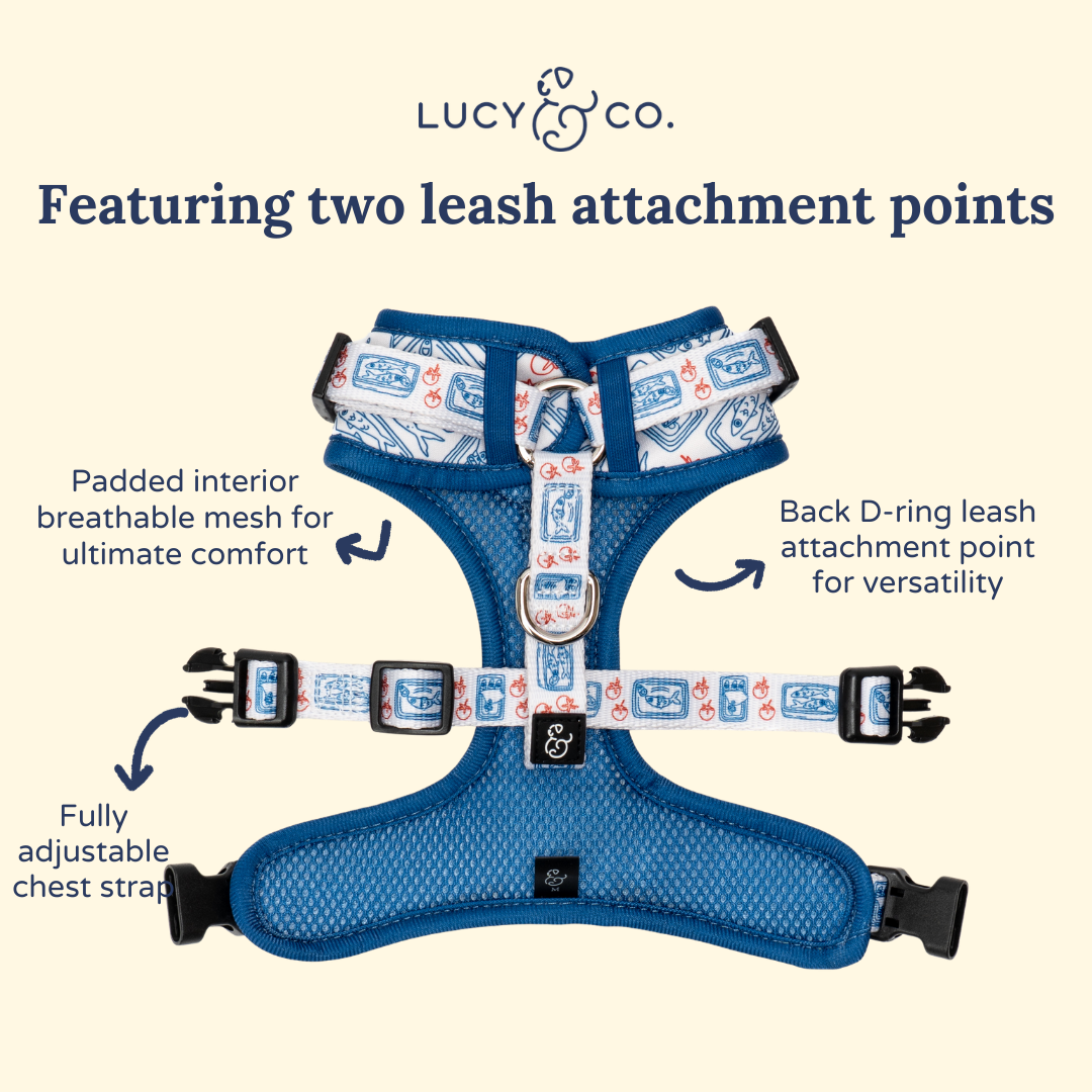 Tinned Fish No-Pull Harness