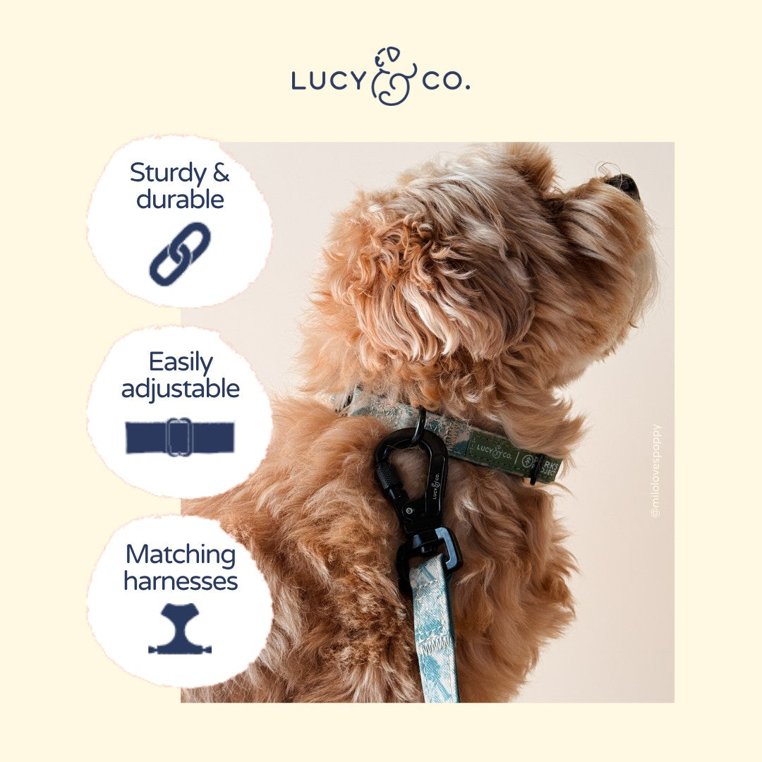 Lucy & Co. x Parks Project Sequoia Seedlings Collar