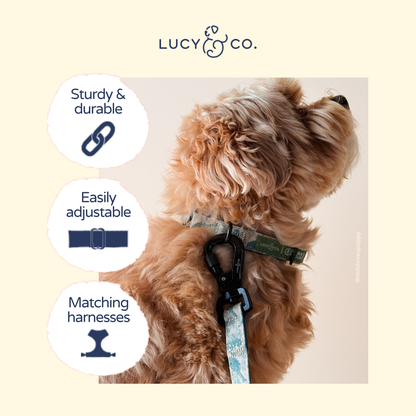 Lucy & Co. x Parks Project Sequoia Seedlings Collar