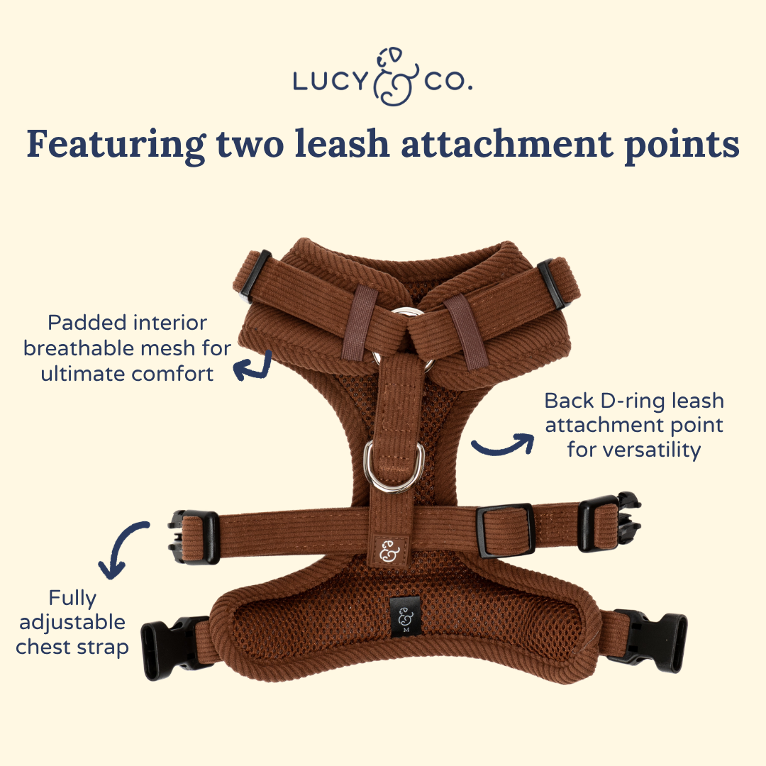 Woodland Wonder Corduroy No-Pull Harness