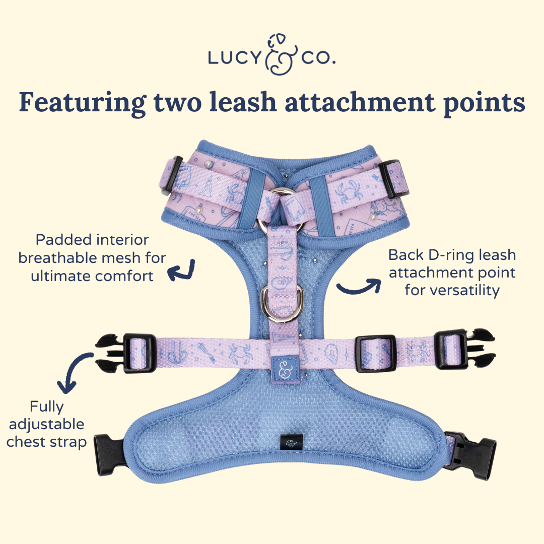 Magnificent Mermaids Pearl No-Pull Harness