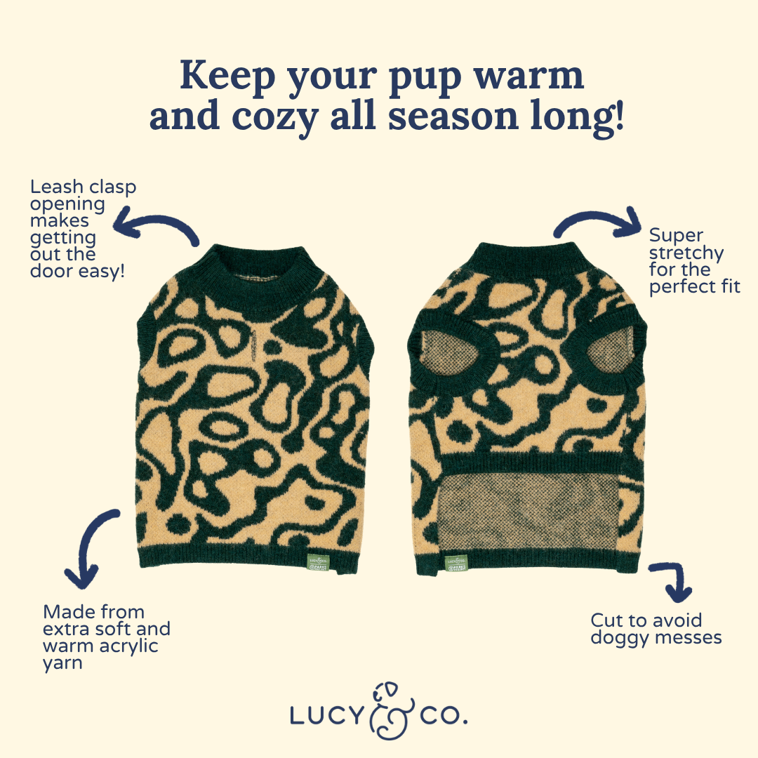 Geyser Dog Sweater | Lucy & Co. x Parks Project