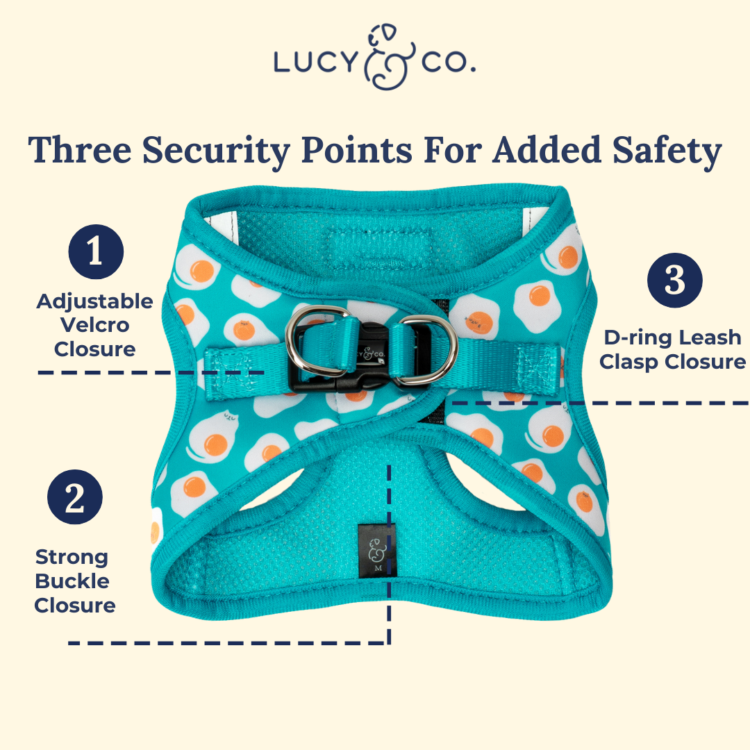 Eggcellent Step-in Cat Harness