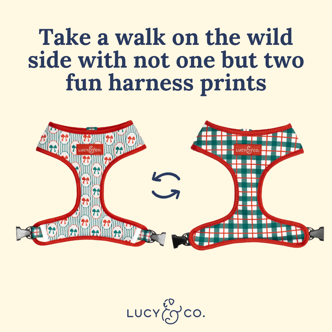Wrap it Up Reversible Harness