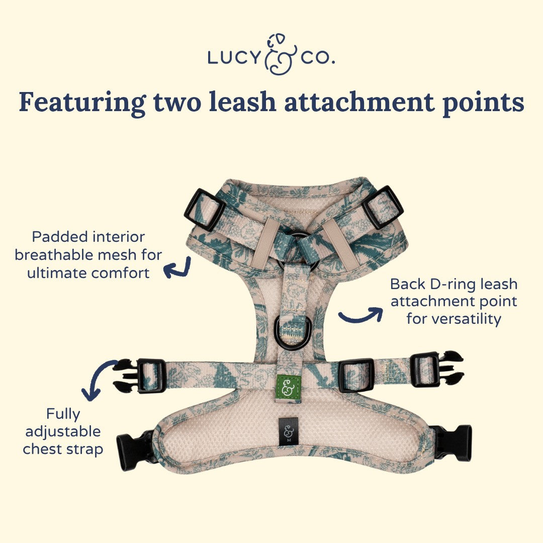 Lucy & Co. x Parks Project Sequoia Seedlings No-Pull Harness