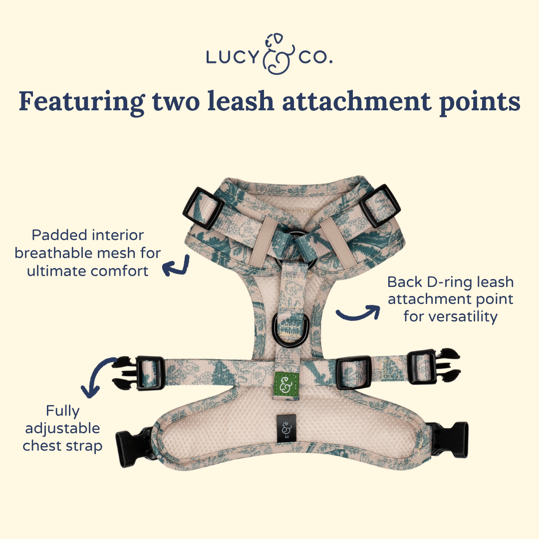 Lucy & Co. x Parks Project Sequoia Seedlings No-Pull Harness