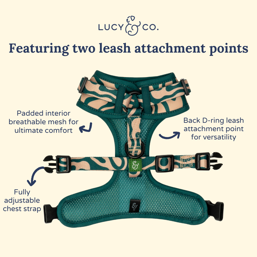 Geyser No-Pull Harness