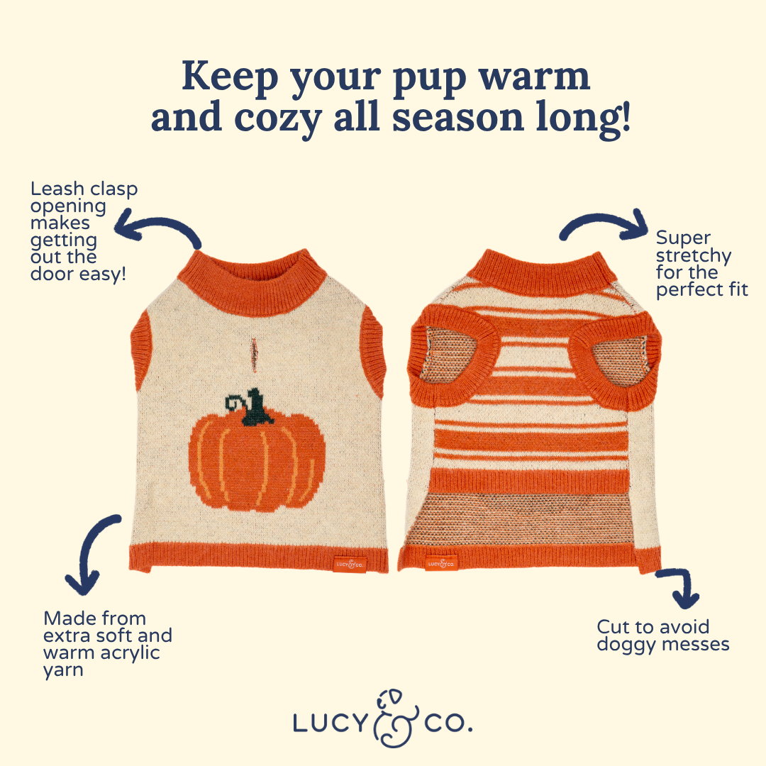 Oh My Gourd Sweater