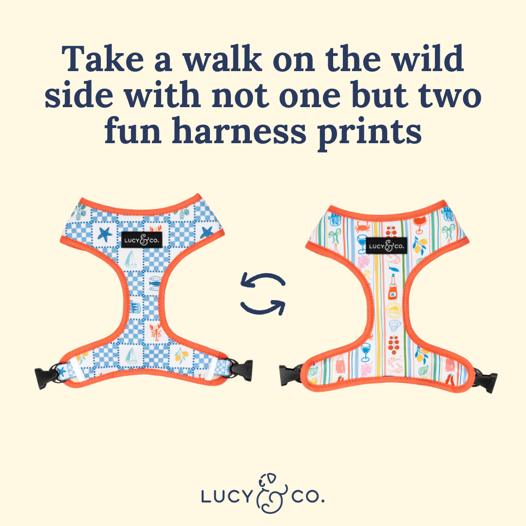 Sunny in Sicily Reversible Harness