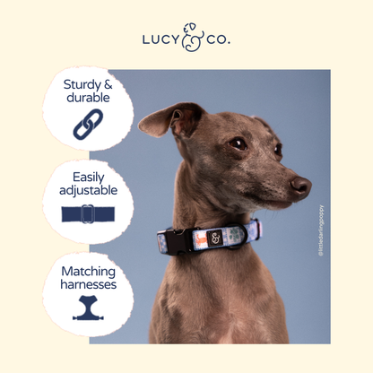 Sunny in Sicily Collar