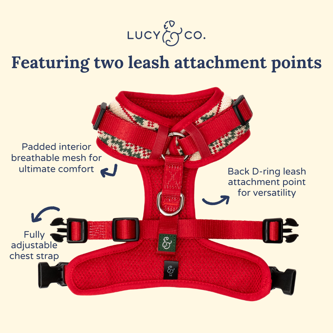 Let it Snow No-Pull Harness