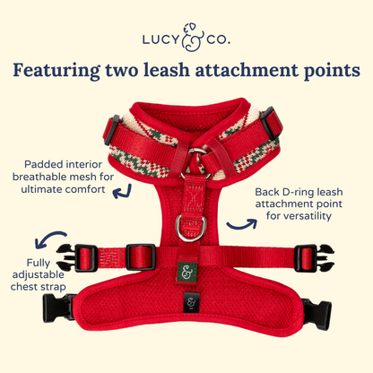 Let it Snow No-Pull Harness