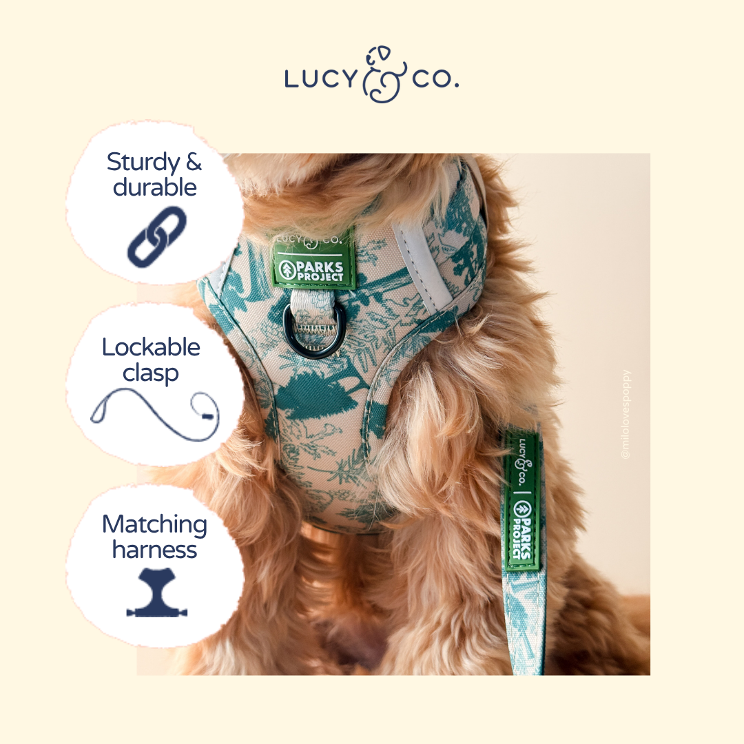Lucy & Co. x Parks Project Sequoia Seedlings Leash