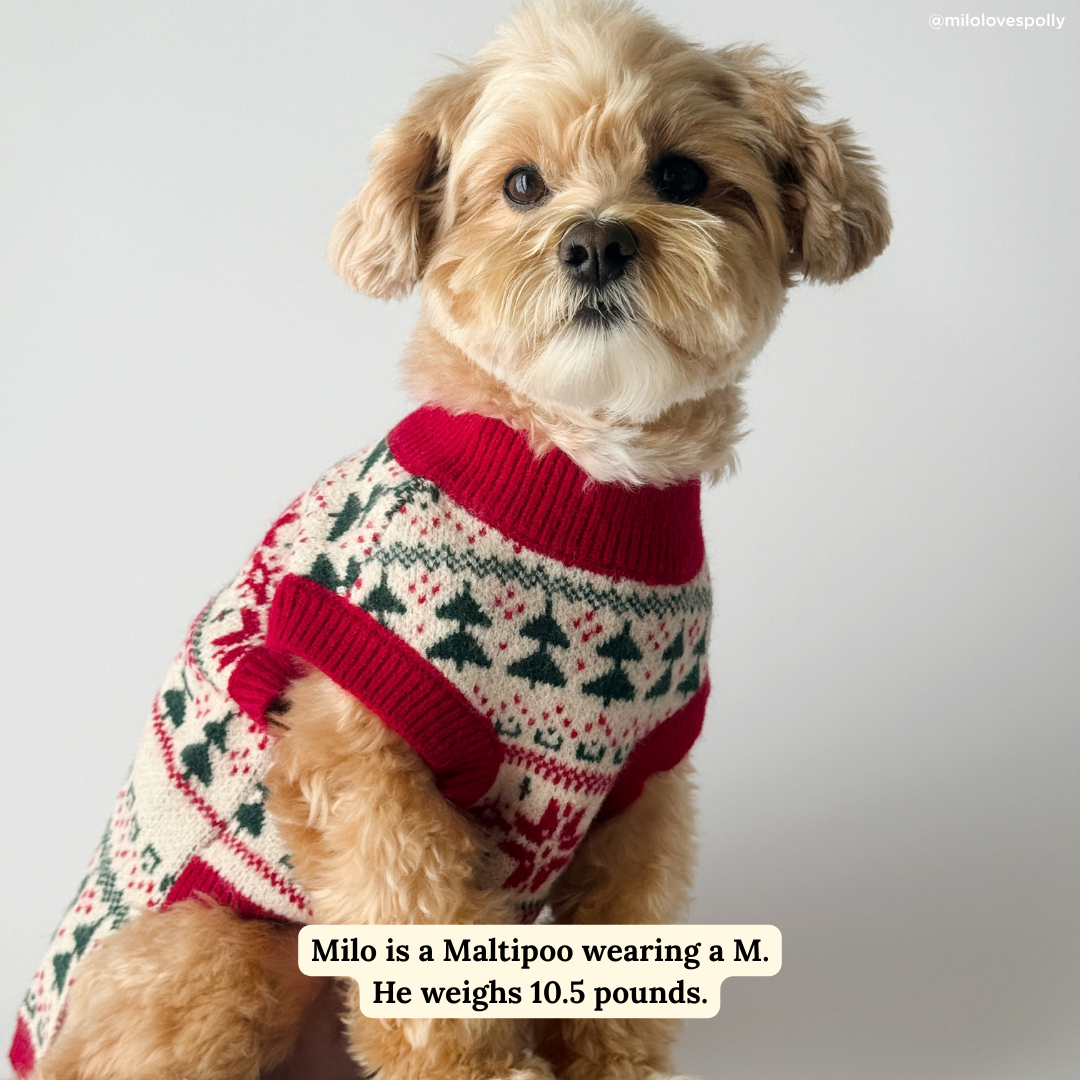 Let it Snow Sweater
