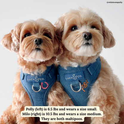 Cute to Boot No-Pull Harness