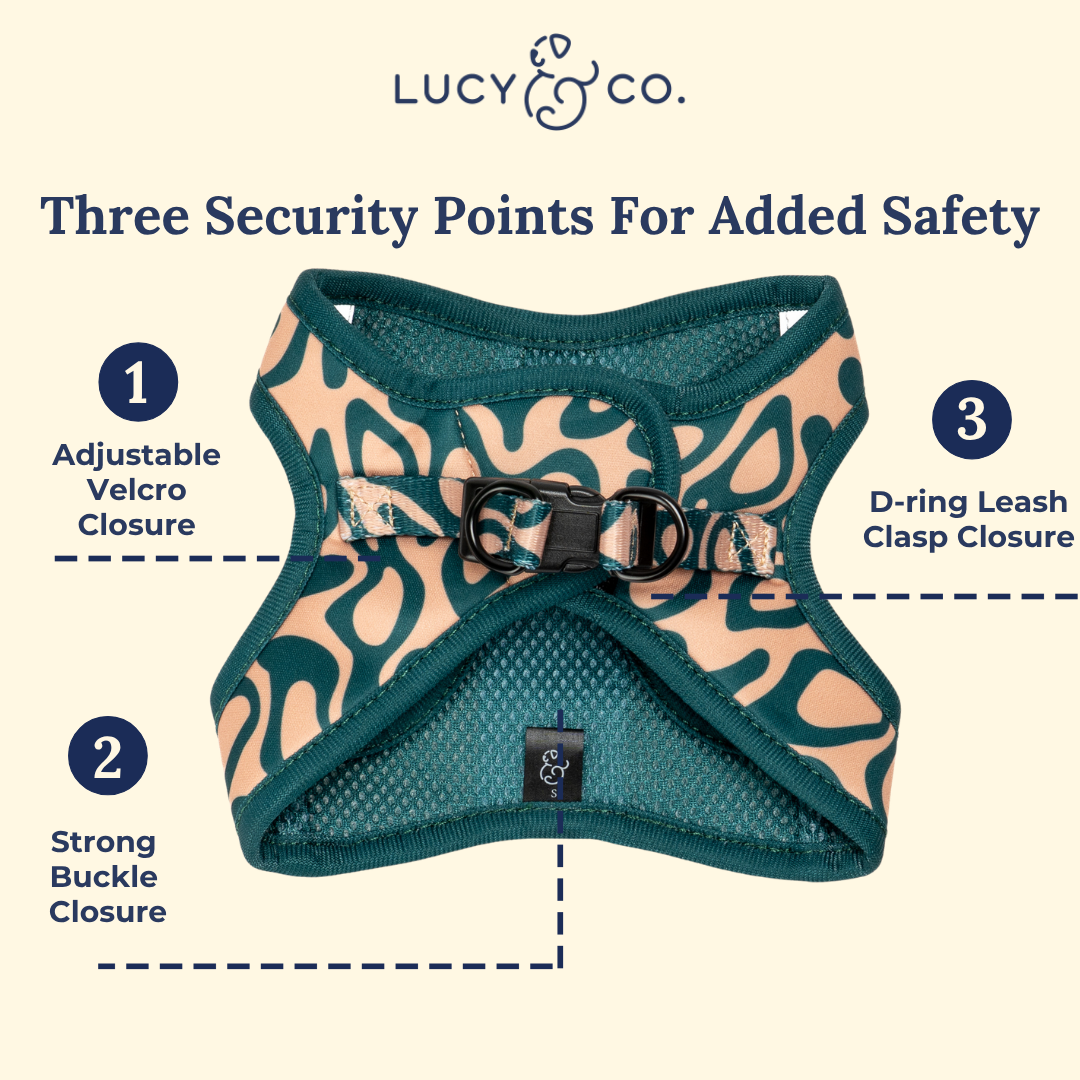 Lucy & Co. x Parks Project Geyser Step-in Cat Harness