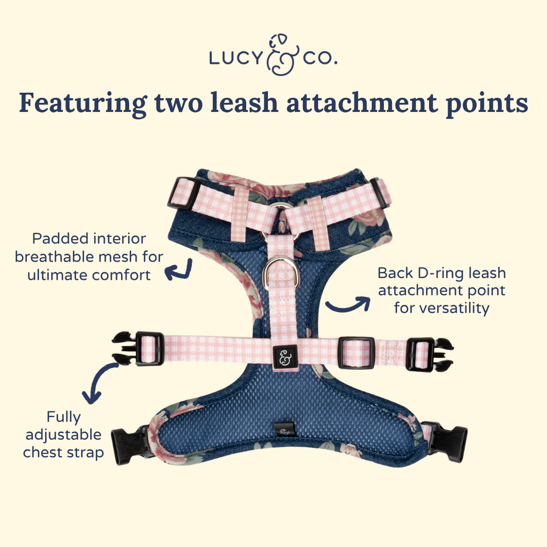Smell the Roses Denim No-Pull Harness