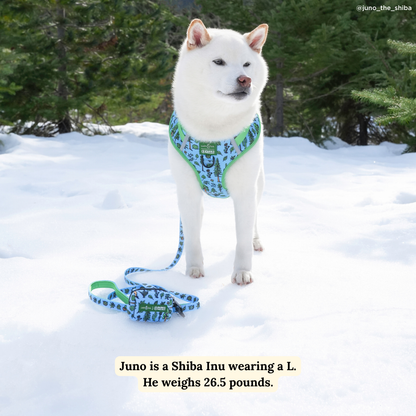 Feel the Earth Breathe No-Pull Harness