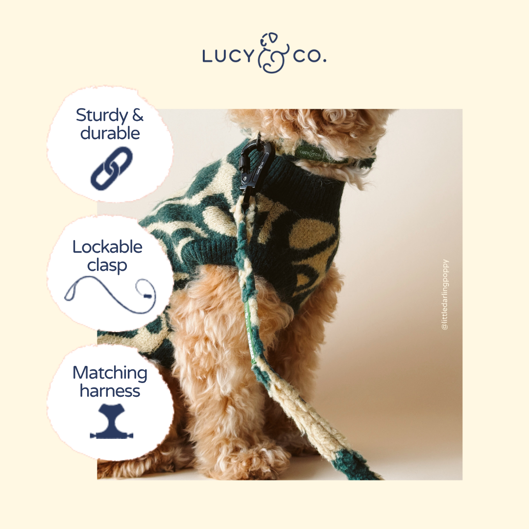 Lucy & Co. x Parks Project Geyser Fleece Leash