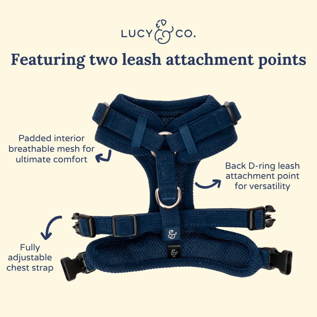 Appley Ever After Corduroy No-Pull Harness