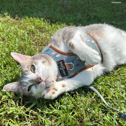 Take a Hike Step-in Cat Harness