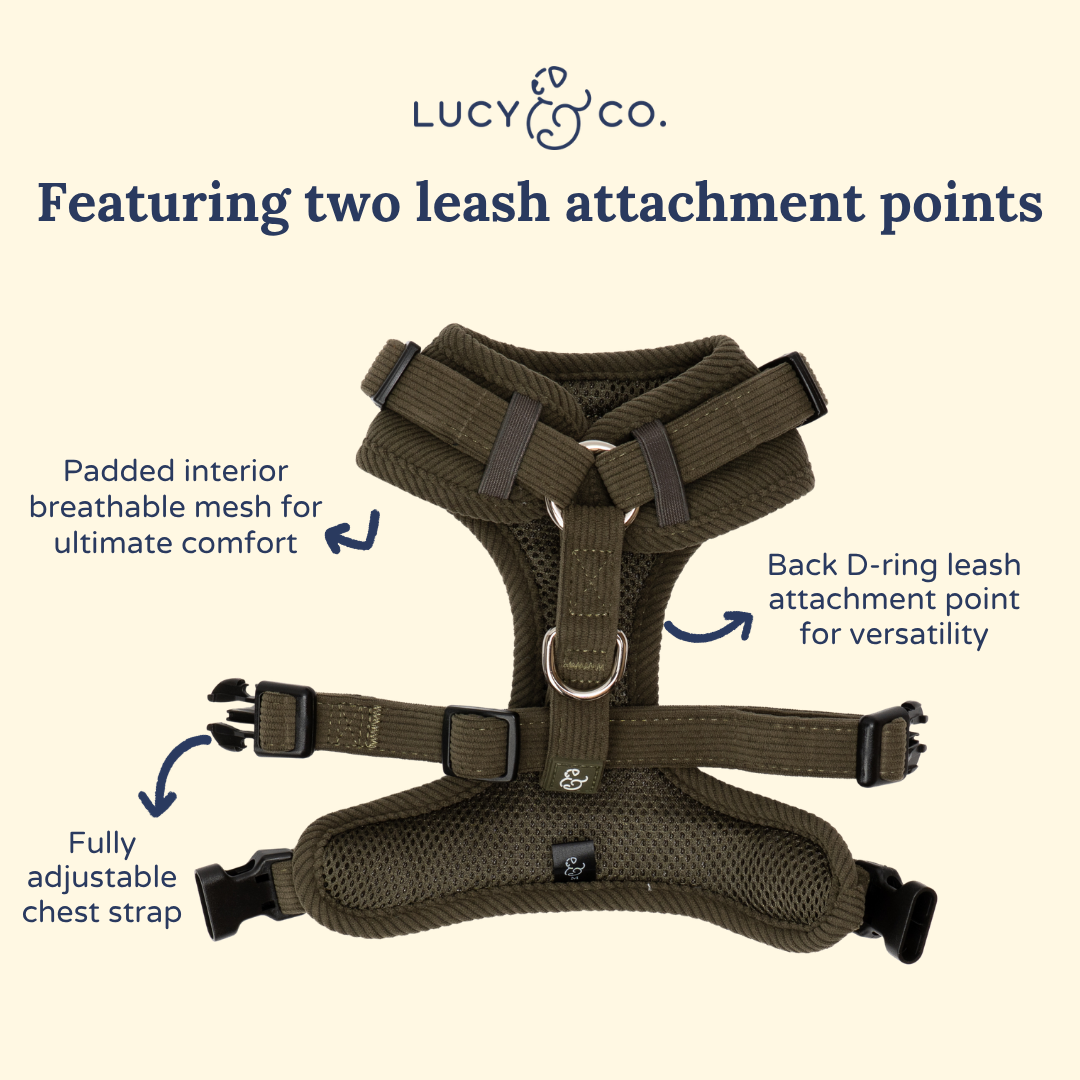 Take a Hike Corduroy No-Pull Harness