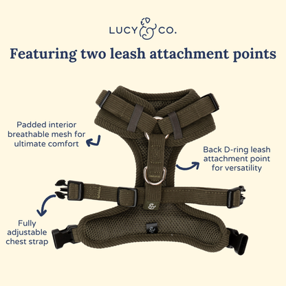 Take a Hike Corduroy No-Pull Harness