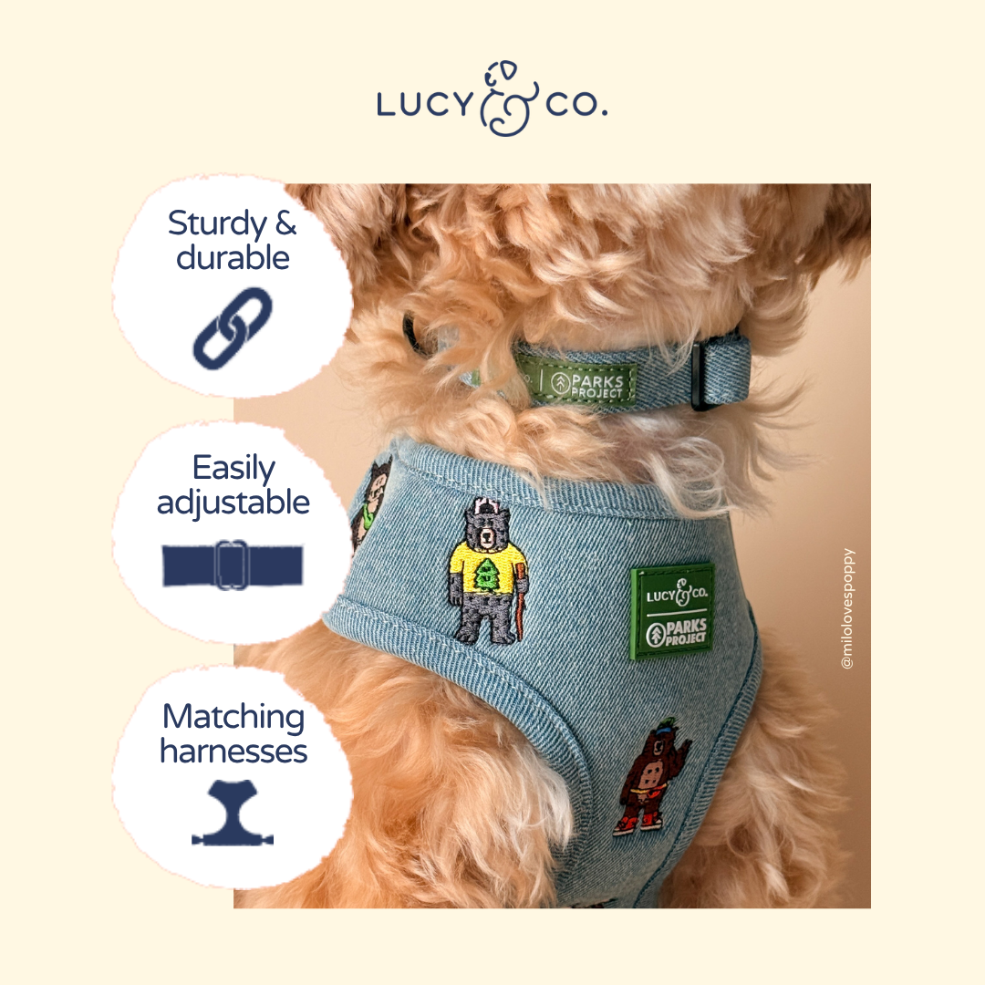 Lucy & Co. x Parks Project Adventures with Friends Collar